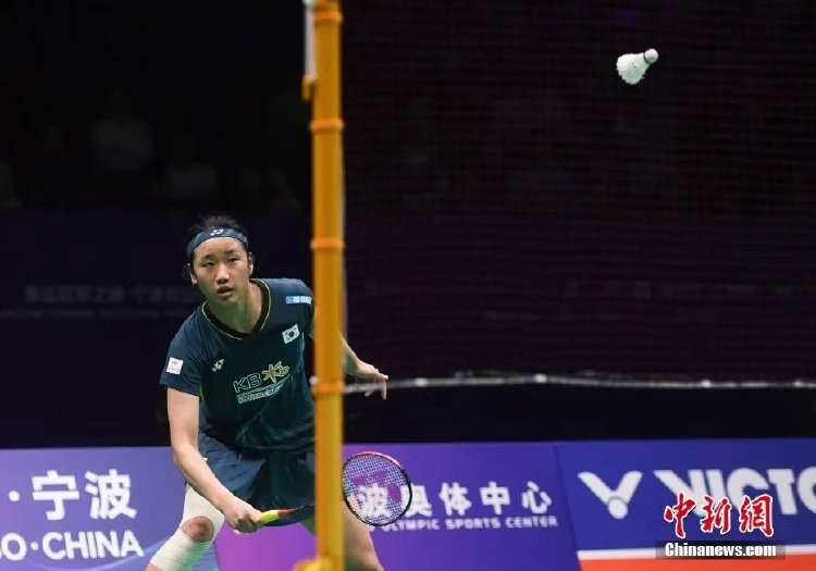 不可或缺的 不可或缺的